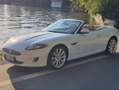 Jaguar XK XK 5.0 Cabriolet Portfolio Bianco - thumbnail 8