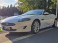 Jaguar XK XK 5.0 Cabriolet Portfolio Bianco - thumbnail 4