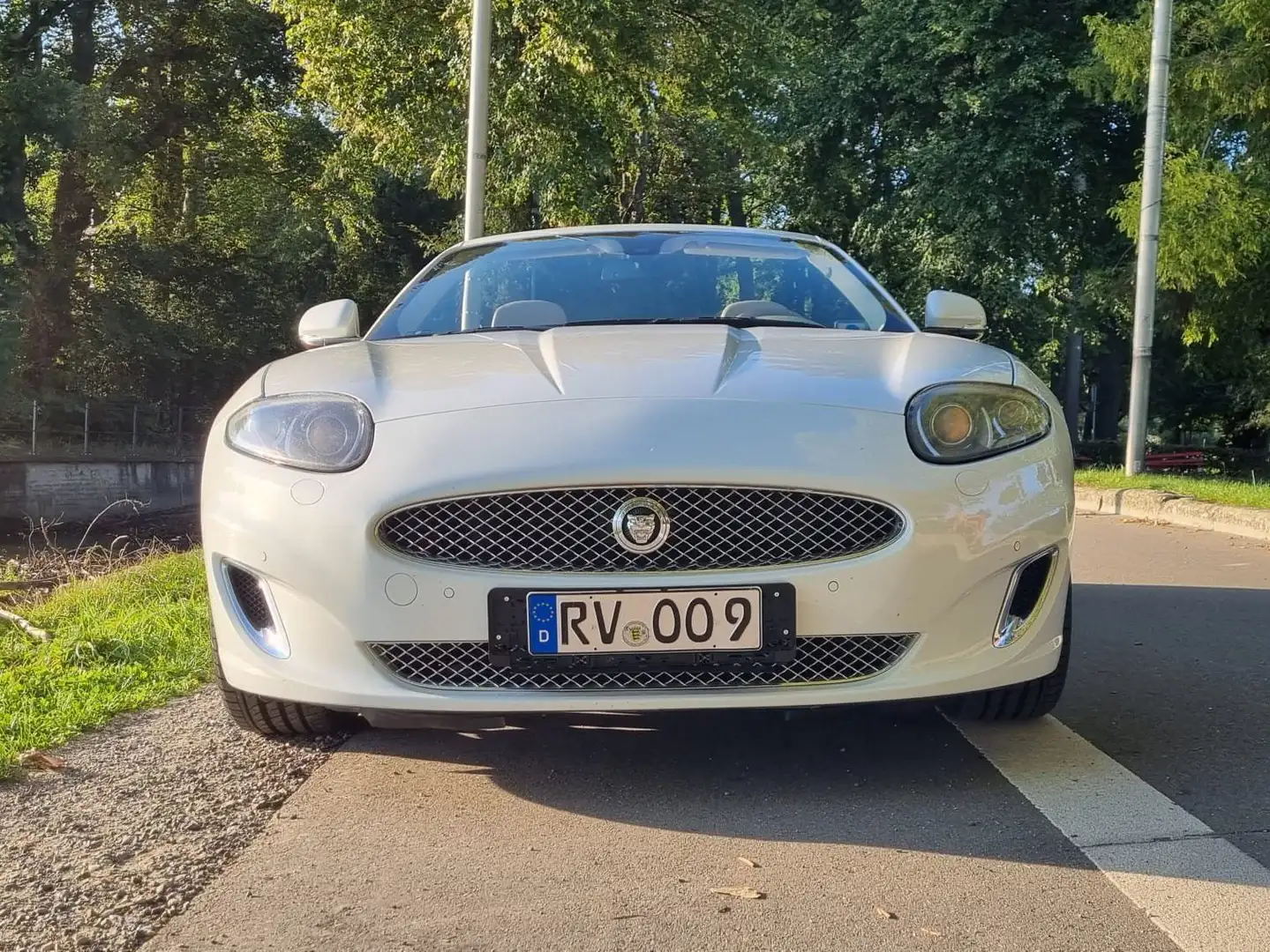Jaguar XK XK 5.0 Cabriolet Portfolio Bianco - 2
