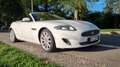 Jaguar XK XK 5.0 Cabriolet Portfolio Bianco - thumbnail 5