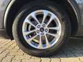 Ford Kuga Titanium PHEV 2.5 Duratec Grau - thumbnail 7