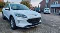 Ford Kuga Plug-In Hybrid Cool & Connect Weiß - thumbnail 1