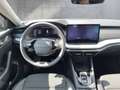 Skoda Octavia Selection TSI mHEV DSG Grau - thumbnail 9