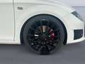 SEAT Leon FR 2.0 TFSI 211cv Blanc - thumbnail 6