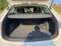 SEAT Leon León 2.0TDI ST DSG7 150cv - thumbnail 30
