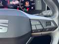 SEAT Leon León 2.0TDI ST DSG7 150cv - thumbnail 16