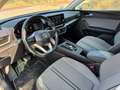SEAT Leon León 2.0TDI ST DSG7 150cv - thumbnail 10