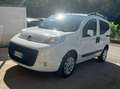 Fiat Qubo Qubo 1.3 mjt 16v Trekking E5+ PREZZO REALE Bianco - thumbnail 5