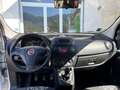 Fiat Qubo Qubo 1.3 mjt 16v Trekking E5+ PREZZO REALE Bianco - thumbnail 13