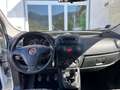 Fiat Qubo Qubo 1.3 mjt 16v Trekking E5+ PREZZO REALE Bianco - thumbnail 15