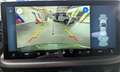 Ford Kuga 1.5 EcoBoost ST-LINE (DFK) Grün - thumbnail 7