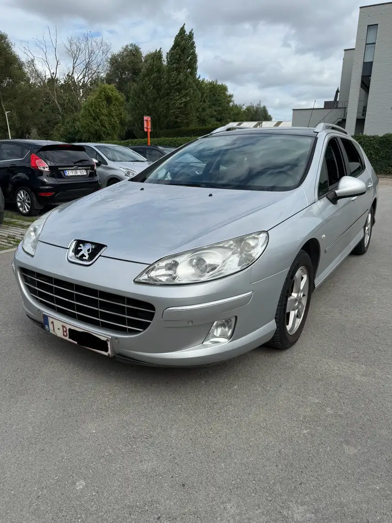 Peugeot 407 SW HDi 160 Серый - 1