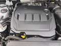 Volkswagen Tiguan 2.0 TDI DSG 4M ELEGANCE STANDHZG IQ.LIGHT PDC Weiß - thumbnail 17
