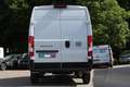 Fiat Ducato Ducato 35+ L3H2 BlueHDi 140 S&S Blanc - thumbnail 6