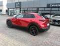 Mazda CX-30 CX-30 2.5 m-hybrid Advantage 2wd 140cv 6mt Rot - thumbnail 5