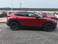 Mazda CX-30 CX-30 2.5 m-hybrid Advantage 2wd 140cv 6mt Rot - thumbnail 9