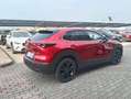 Mazda CX-30 CX-30 2.5 m-hybrid Advantage 2wd 140cv 6mt Rot - thumbnail 7
