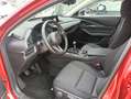 Mazda CX-30 CX-30 2.5 m-hybrid Advantage 2wd 140cv 6mt Rot - thumbnail 13