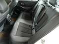 BMW 320 320d SAG,AHK,Ledersports,ACC Weiß - thumbnail 10