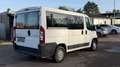 Peugeot Boxer 2.2 HDi 9-Sitzer+Klima+Original 105 Tkm Blanc - thumbnail 3