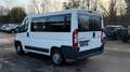 Peugeot Boxer 2.2 HDi 9-Sitzer+Klima+Original 105 Tkm Blanc - thumbnail 4