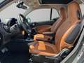 smart forTwo III 2020 - Fortwo eq Pulse 4,6kW Grün - thumbnail 13