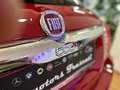 Fiat 500X 500X 1.3 mjt 4x2 95cv-EURO6-2017 Rouge - thumbnail 15