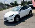 Tesla Model Y RWD 220 Kw 299CV  24159HT Blanc - thumbnail 1