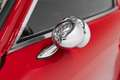 Ferrari 250 GTO 1ª serie Rot - thumbnail 18