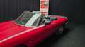 Alfa Romeo Spider Spider 2.0 Veloce ASI con CRS Rot - thumbnail 20