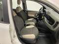 Fiat Panda Panda 1.3 mjt 16v 4x4 75cv E5+ Wit - thumbnail 17