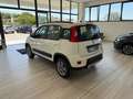 Fiat Panda Panda 1.3 mjt 16v 4x4 75cv E5+ Bianco - thumbnail 9