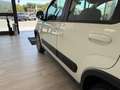 Fiat Panda Panda 1.3 mjt 16v 4x4 75cv E5+ Bianco - thumbnail 15