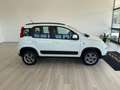 Fiat Panda Panda 1.3 mjt 16v 4x4 75cv E5+ Bianco - thumbnail 5