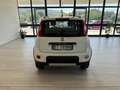 Fiat Panda Panda 1.3 mjt 16v 4x4 75cv E5+ Bianco - thumbnail 7