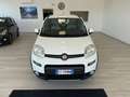 Fiat Panda Panda 1.3 mjt 16v 4x4 75cv E5+ Bianco - thumbnail 3