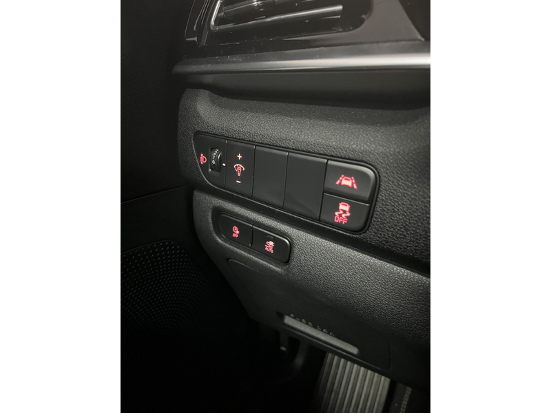 Kia e-Niro Edition 64 kWh 1E EIGN/ECC/3 FASE/100% SOH/ADAPTIV — photo 33