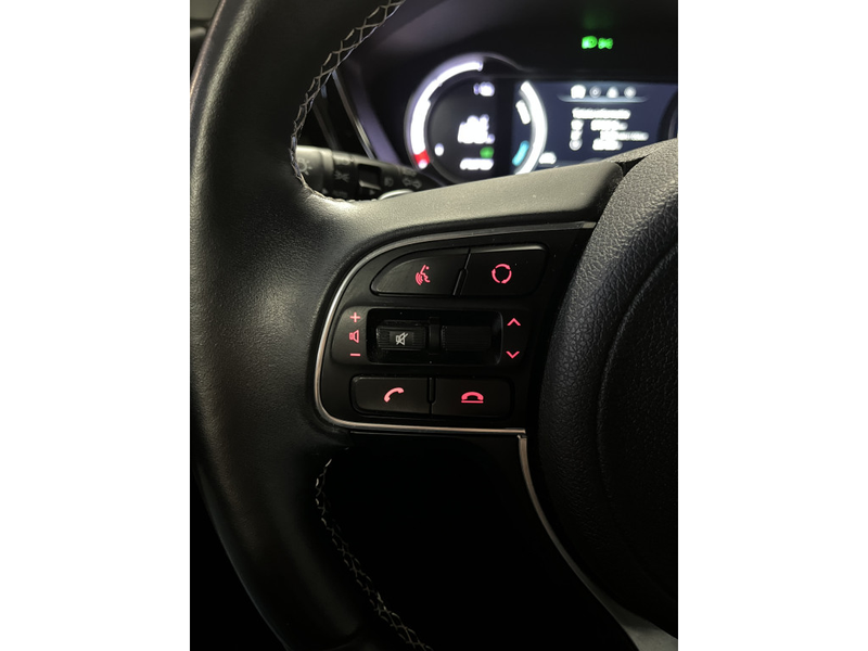 Kia e-Niro Edition 64 kWh 1E EIGN/ECC/3 FASE/100% SOH/ADAPTIV — photo 25
