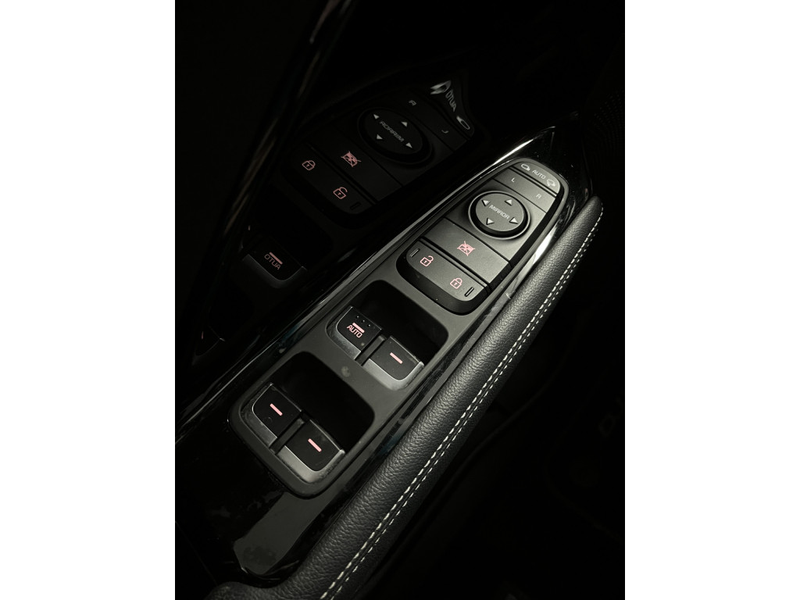 Kia e-Niro Edition 64 kWh 1E EIGN/ECC/3 FASE/100% SOH/ADAPTIV — photo 31