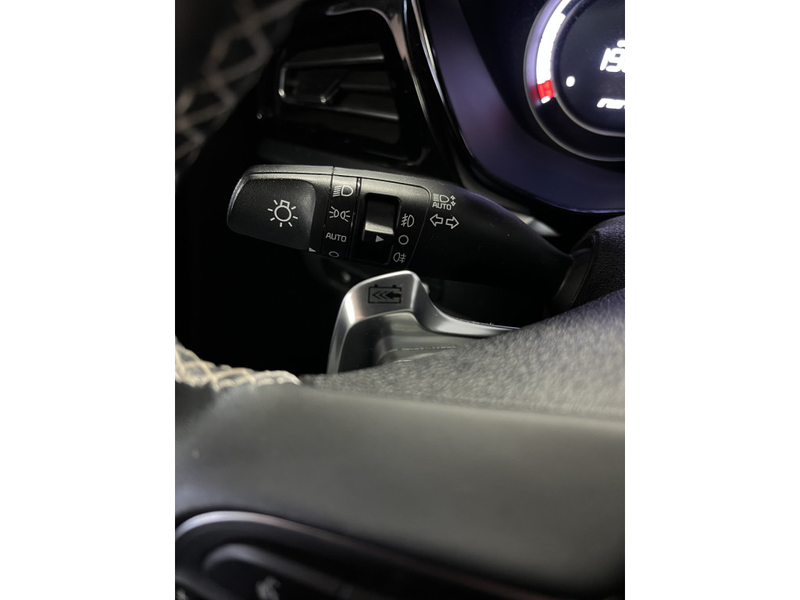 Kia e-Niro Edition 64 kWh 1E EIGN/ECC/3 FASE/100% SOH/ADAPTIV — photo 29