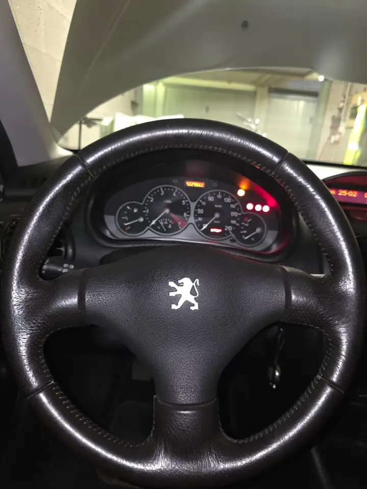 Peugeot 206 3p 1.6 16v XS, foto 12