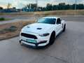 Ford Mustang Fastback 2.3 EcoBoost Aut. Blanc - thumbnail 2