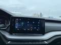 Skoda Octavia Combi 2,0 TDI Ambition Grau - thumbnail 24