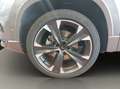 CUPRA Ateca 2.0 TSI 4Drive OPF Basis Grau - thumbnail 20