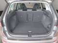 CUPRA Ateca 2.0 TSI 4Drive OPF Basis Grau - thumbnail 19