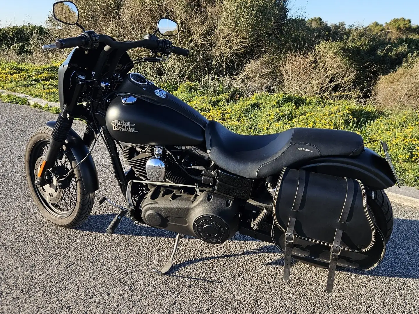 Harley-Davidson Dyna Street Bob 103 ABS (FXDBB) - 1