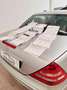 Mercedes-Benz SLK 320 ISCRITTA ASI Zilver - thumbnail 16