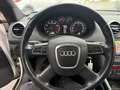 Audi A3 A3 Cabriolet 1,8 T FSI Ambition S-tronic Ambition Weiß - thumbnail 10