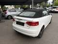 Audi A3 A3 Cabriolet 1,8 T FSI Ambition S-tronic Ambition Weiß - thumbnail 15