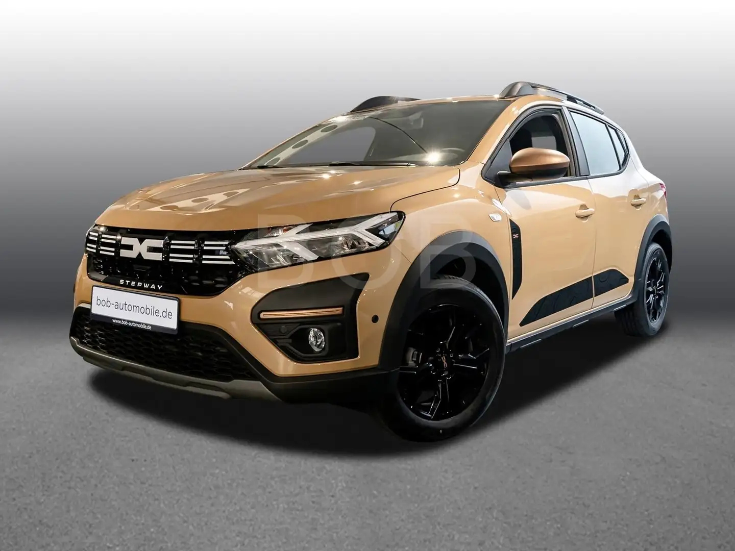 Dacia Sandero Stepway Extreme TCe 110 NAVI SHZ PDC KLIMA Beige - 1